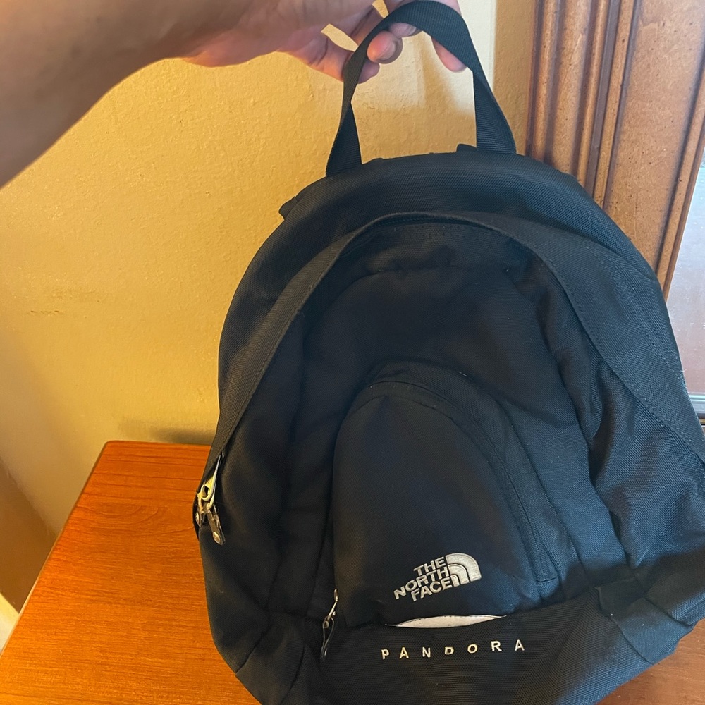 Mini Northface Backpack